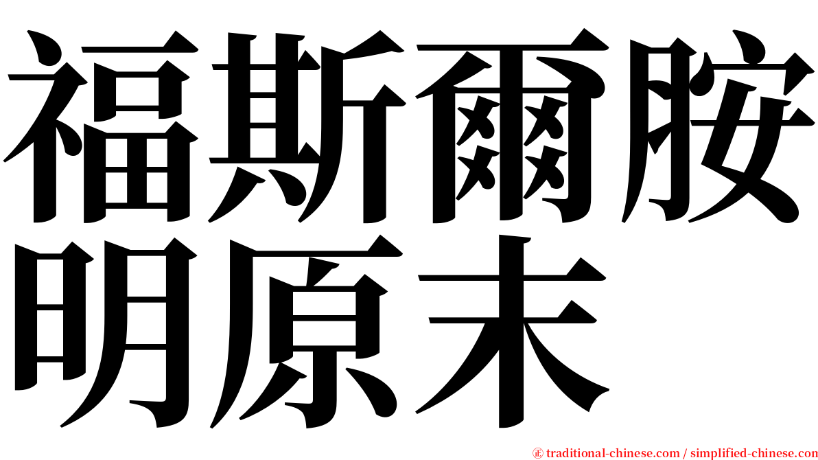 福斯爾胺明原末 serif font