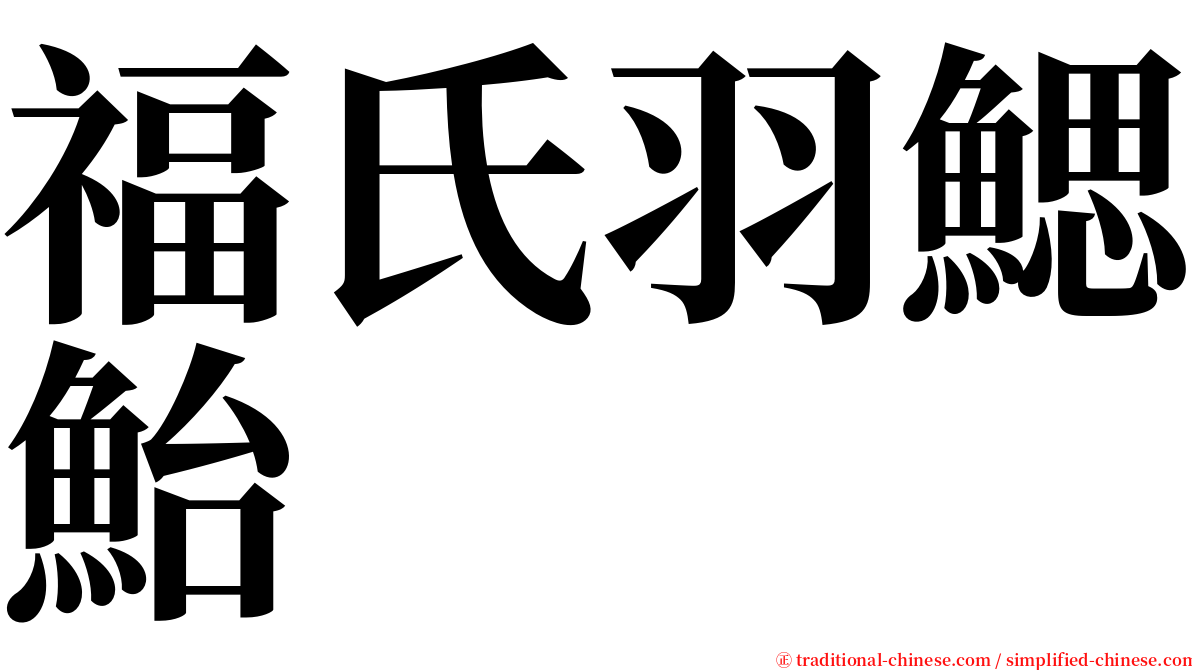 福氏羽鰓鮐 serif font