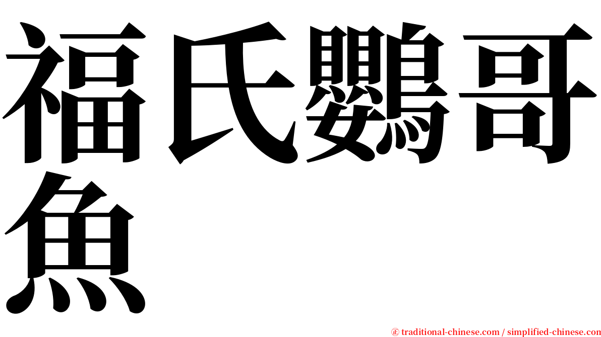 福氏鸚哥魚 serif font