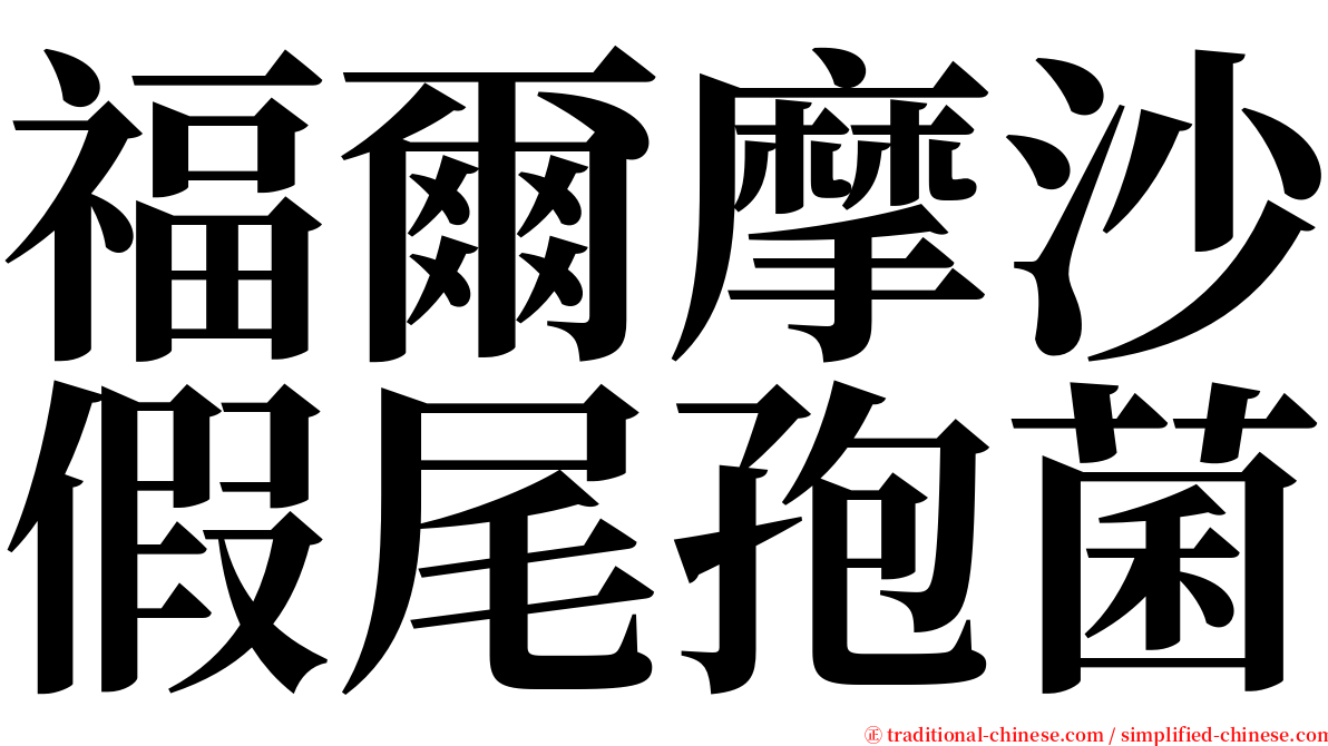 福爾摩沙假尾孢菌 serif font