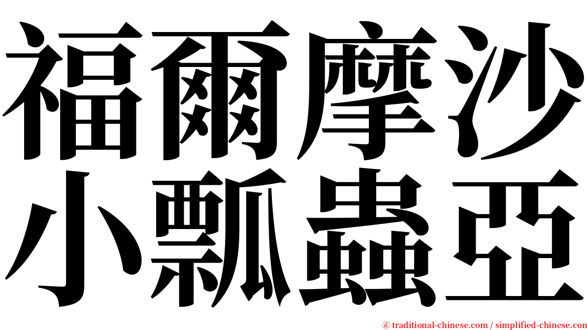 福爾摩沙小瓢蟲亞 serif font