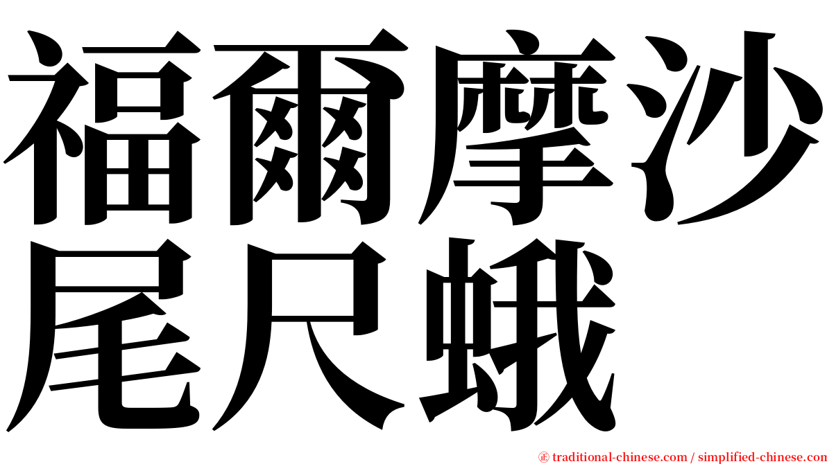 福爾摩沙尾尺蛾 serif font