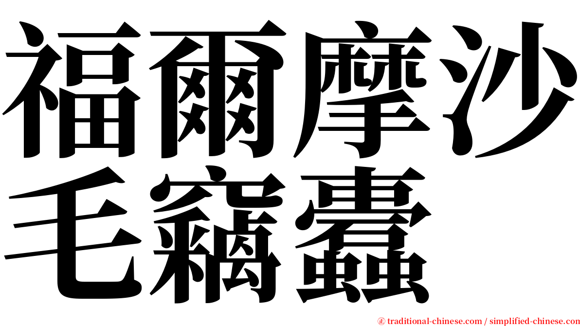 福爾摩沙毛竊蠹 serif font