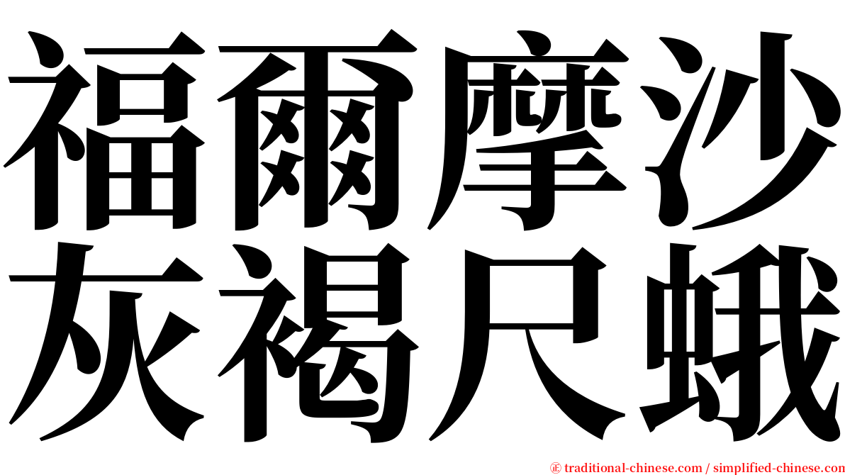 福爾摩沙灰褐尺蛾 serif font