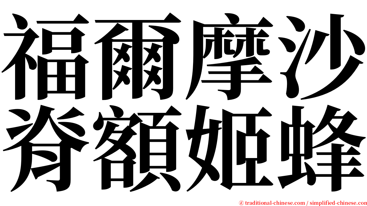 福爾摩沙脊額姬蜂 serif font