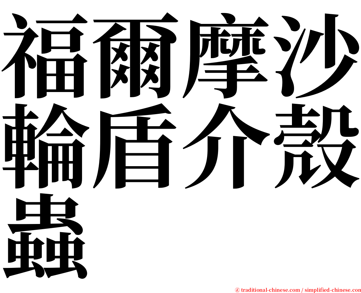 福爾摩沙輪盾介殼蟲 serif font