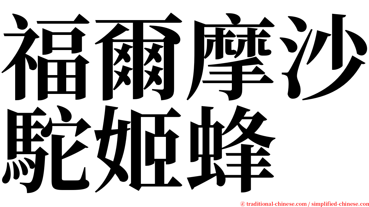 福爾摩沙駝姬蜂 serif font