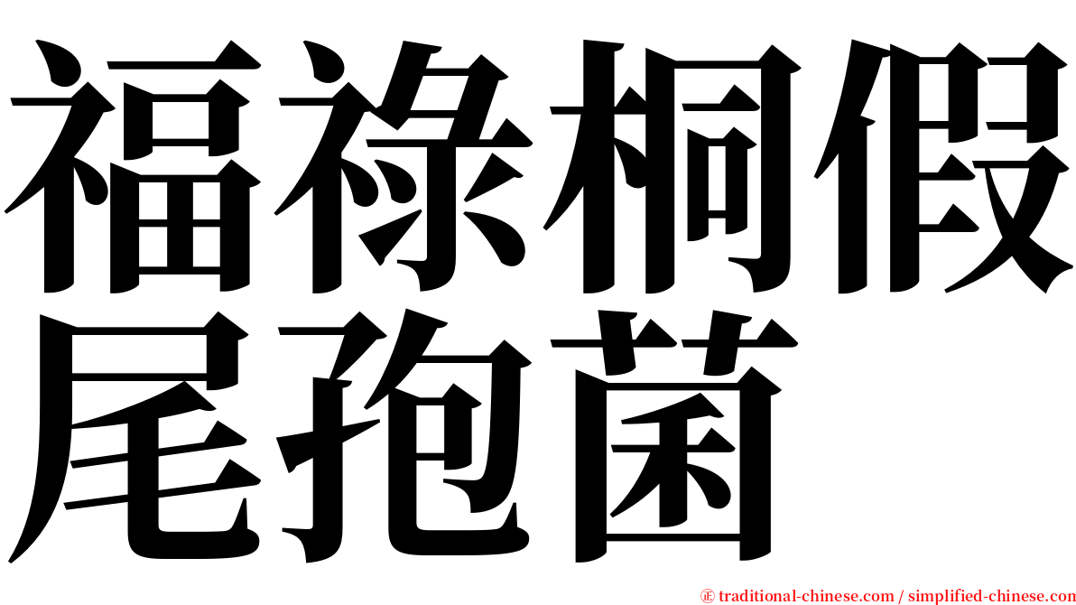 福祿桐假尾孢菌 serif font