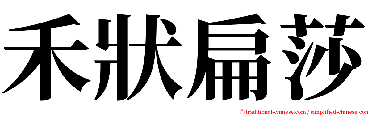 禾狀扁莎 serif font