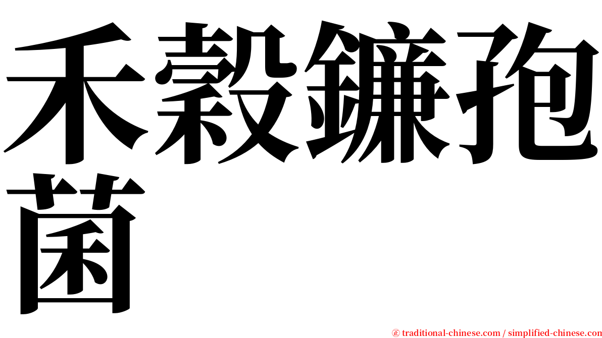 禾穀鐮孢菌 serif font