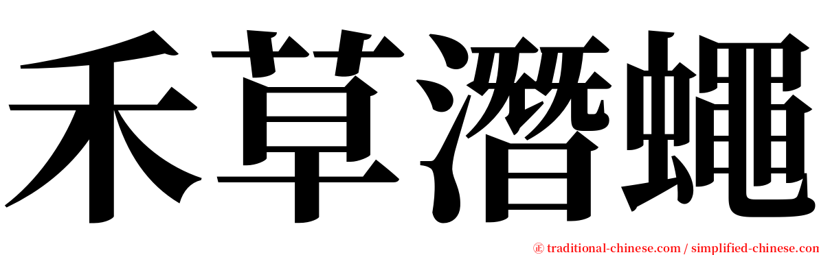 禾草潛蠅 serif font