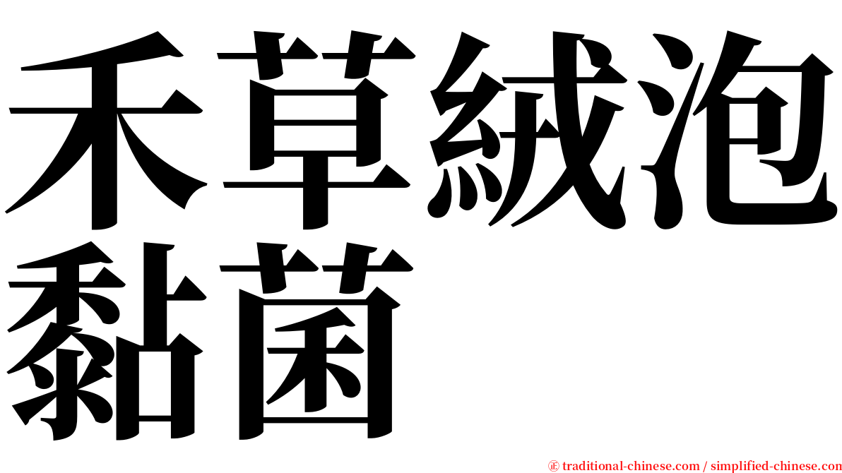 禾草絨泡黏菌 serif font