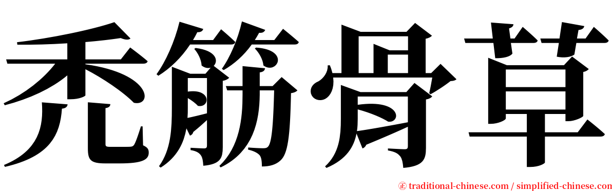 禿筋骨草 serif font