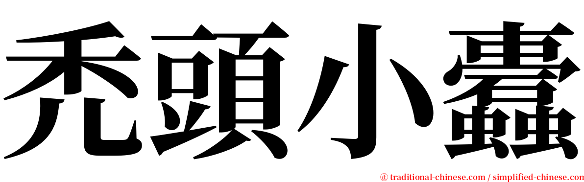 禿頭小蠹 serif font