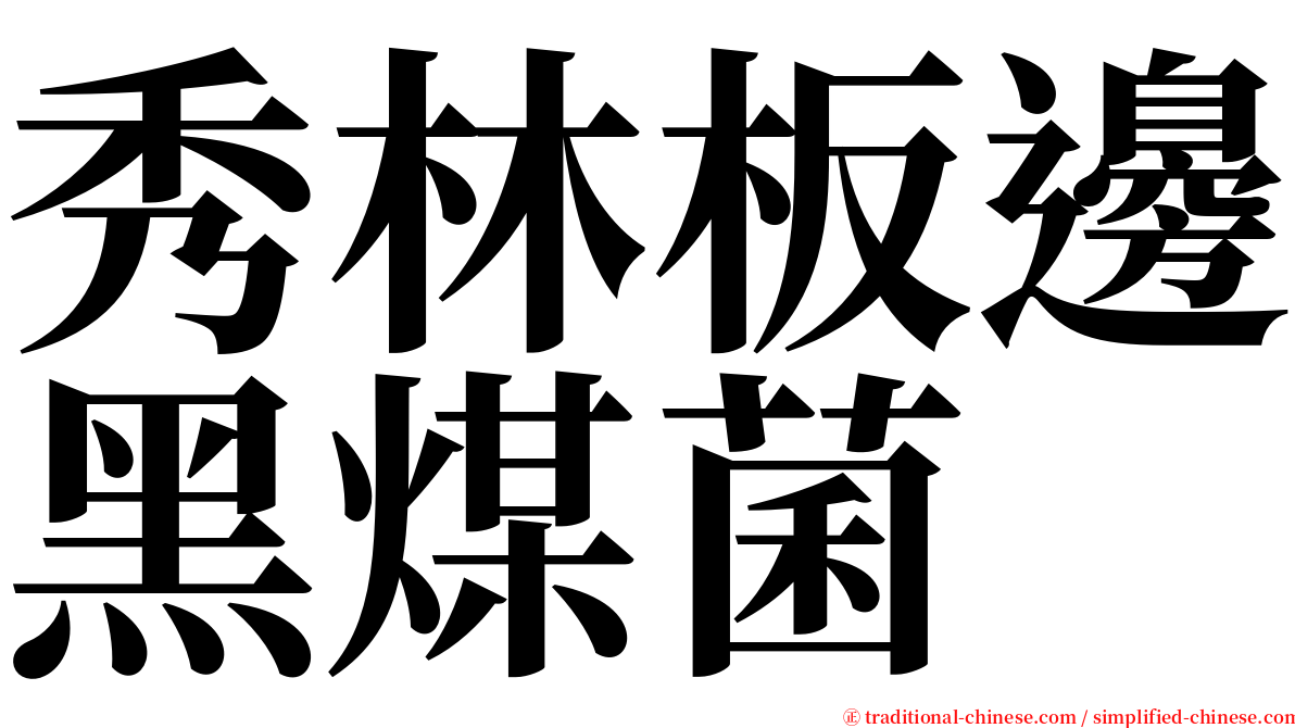 秀林板邊黑煤菌 serif font