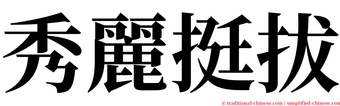 秀麗挺拔 serif font