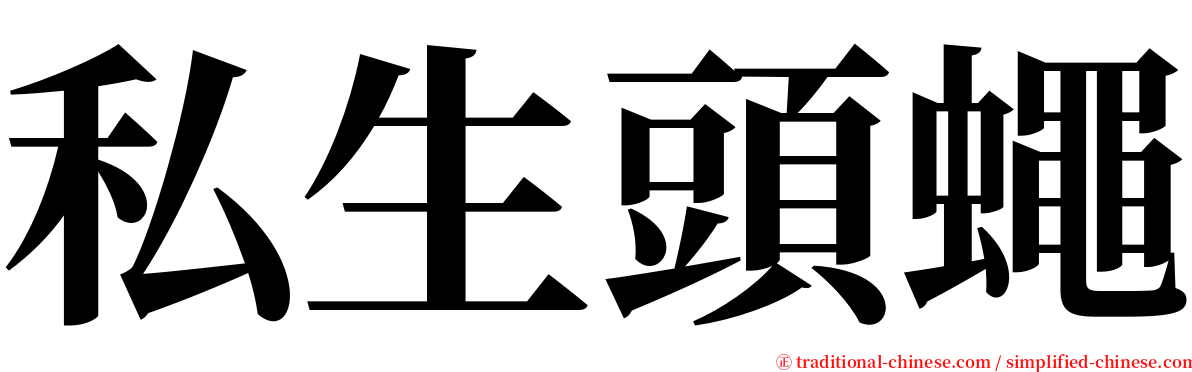 私生頭蠅 serif font