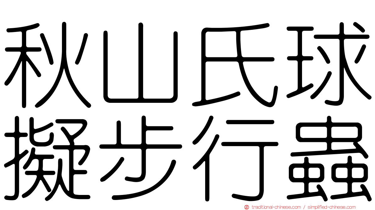 秋山氏球擬步行蟲