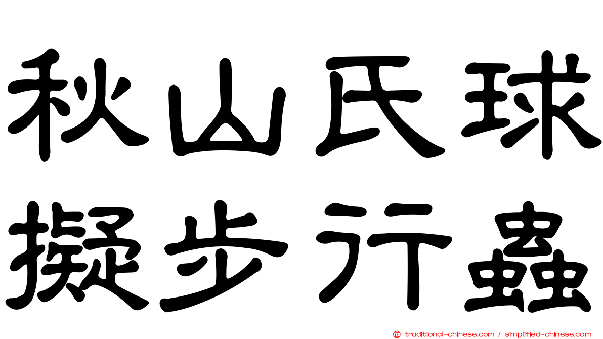 秋山氏球擬步行蟲