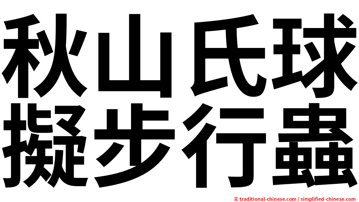 秋山氏球擬步行蟲