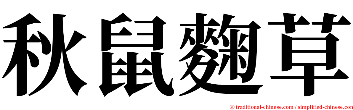 秋鼠麴草 serif font