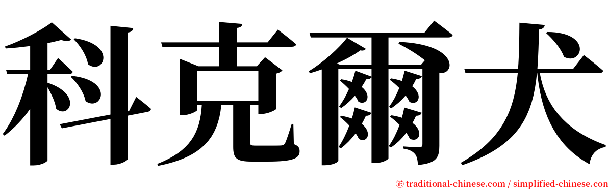 科克爾犬 serif font