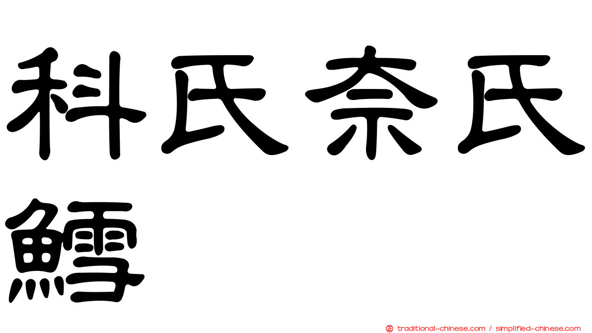 科氏奈氏鱈