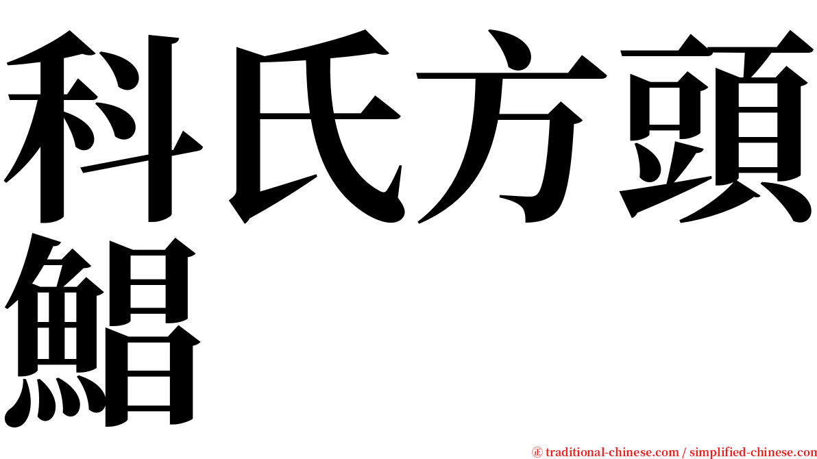 科氏方頭鯧 serif font