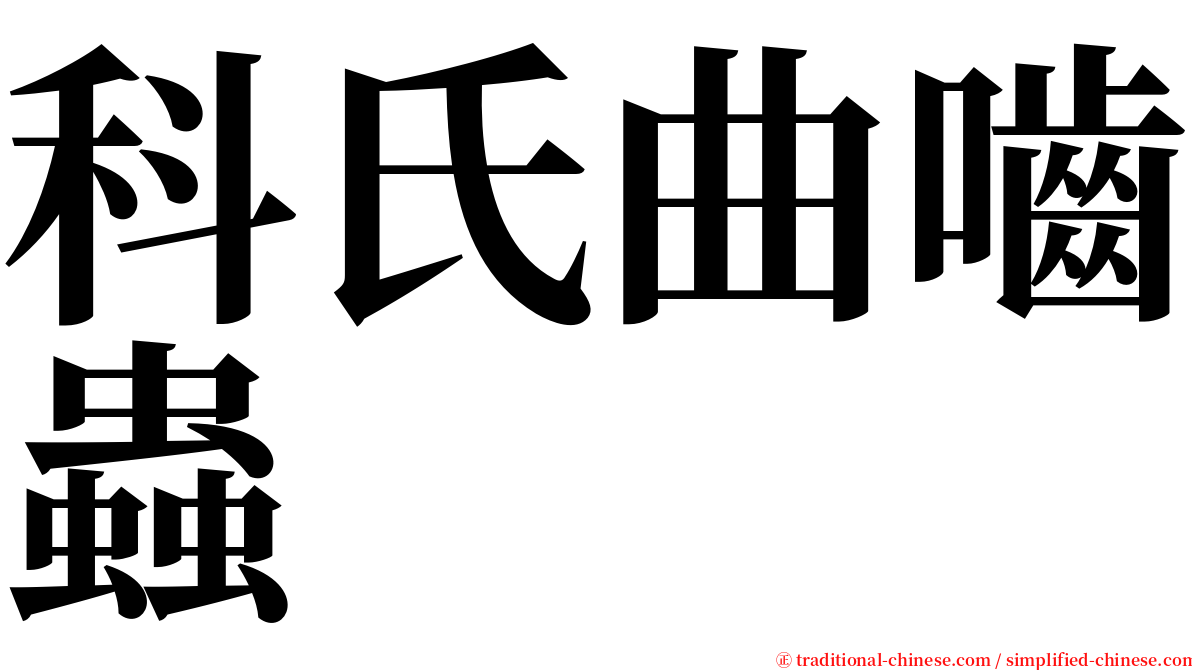 科氏曲嚙蟲 serif font