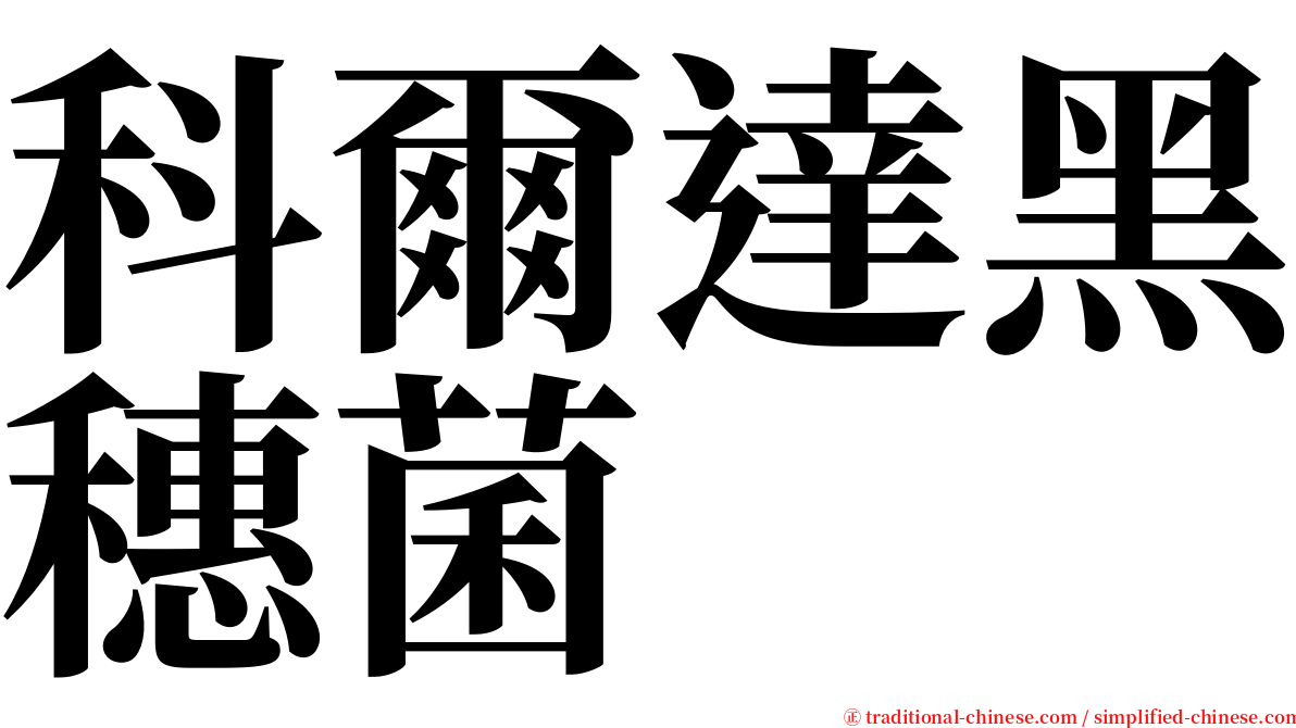 科爾達黑穗菌 serif font