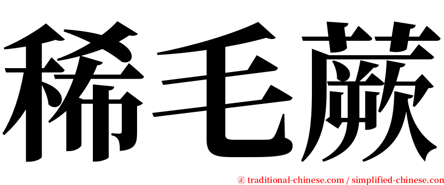 稀毛蕨 serif font