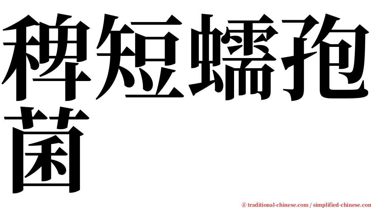 稗短蠕孢菌 serif font