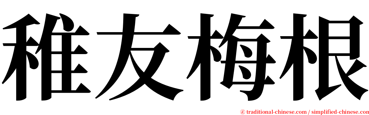 稚友梅根 serif font