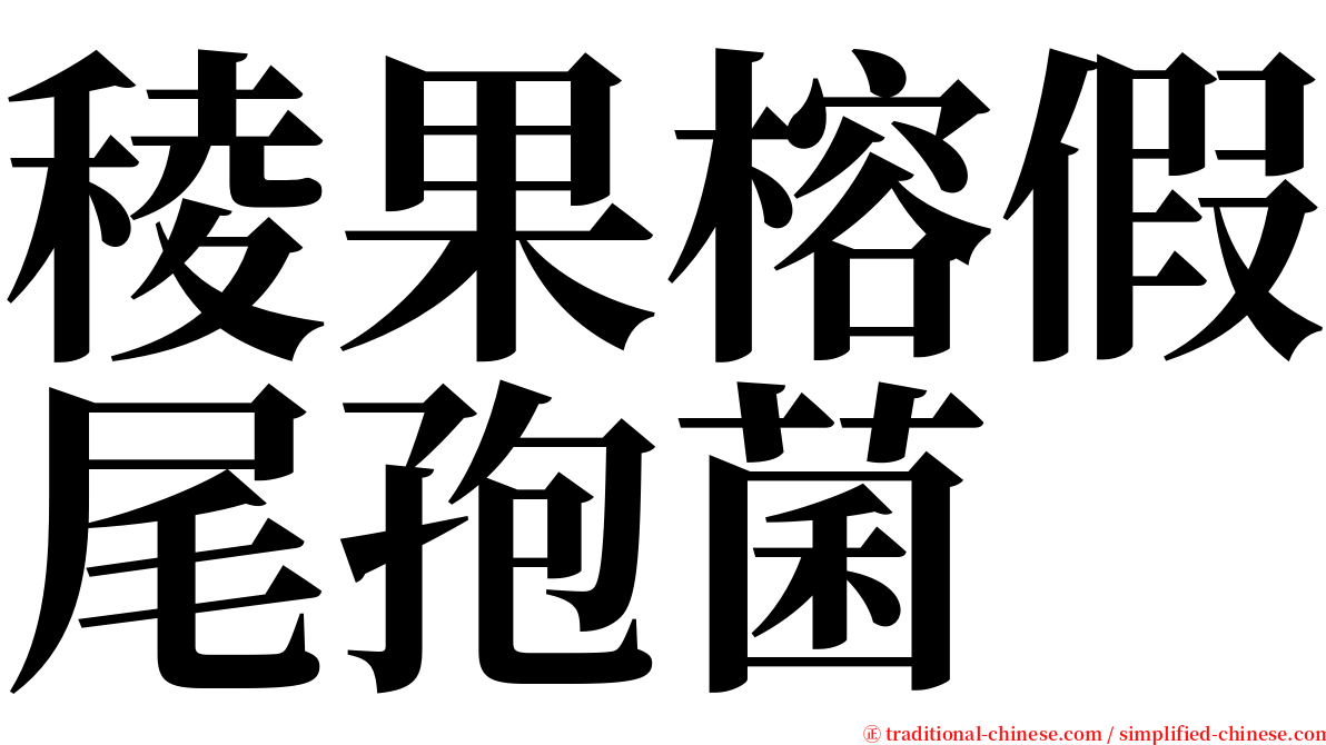 稜果榕假尾孢菌 serif font