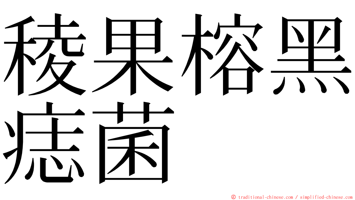 稜果榕黑痣菌 ming font