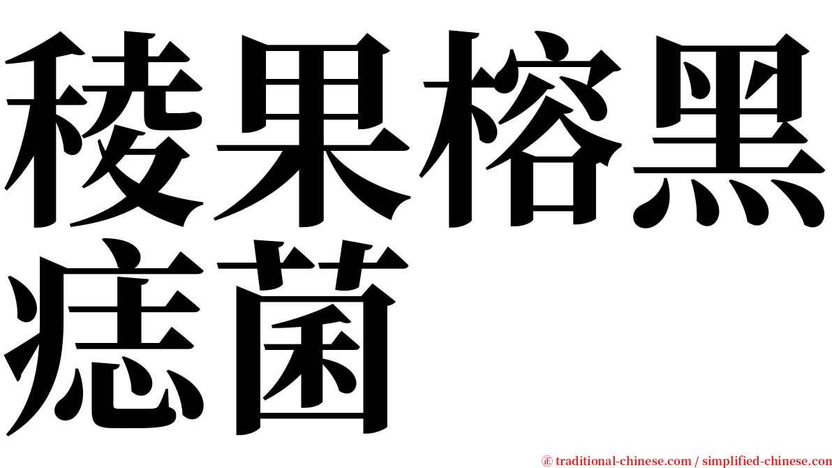 稜果榕黑痣菌 serif font