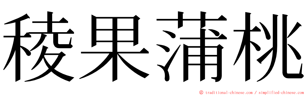 稜果蒲桃 ming font