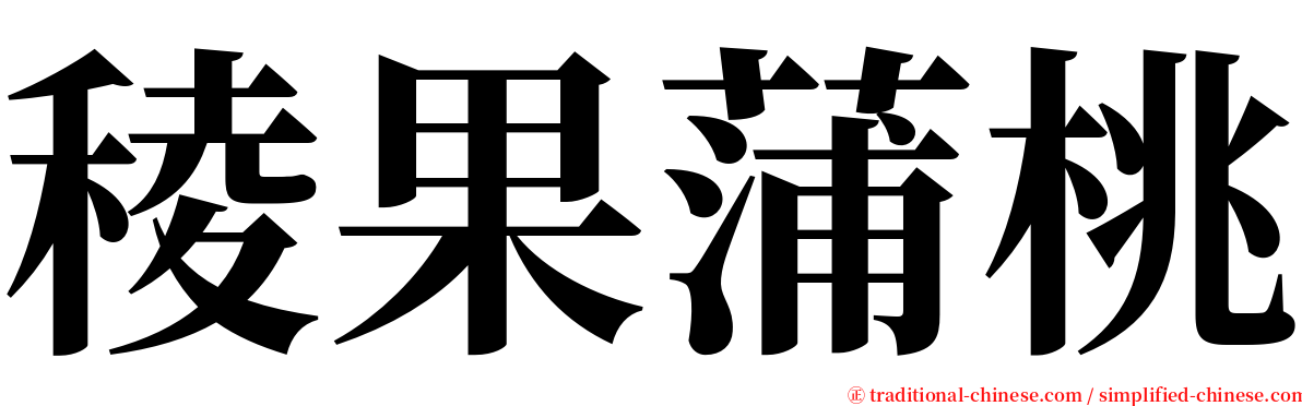 稜果蒲桃 serif font