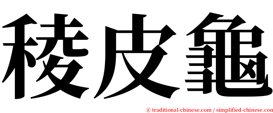 稜皮龜 serif font