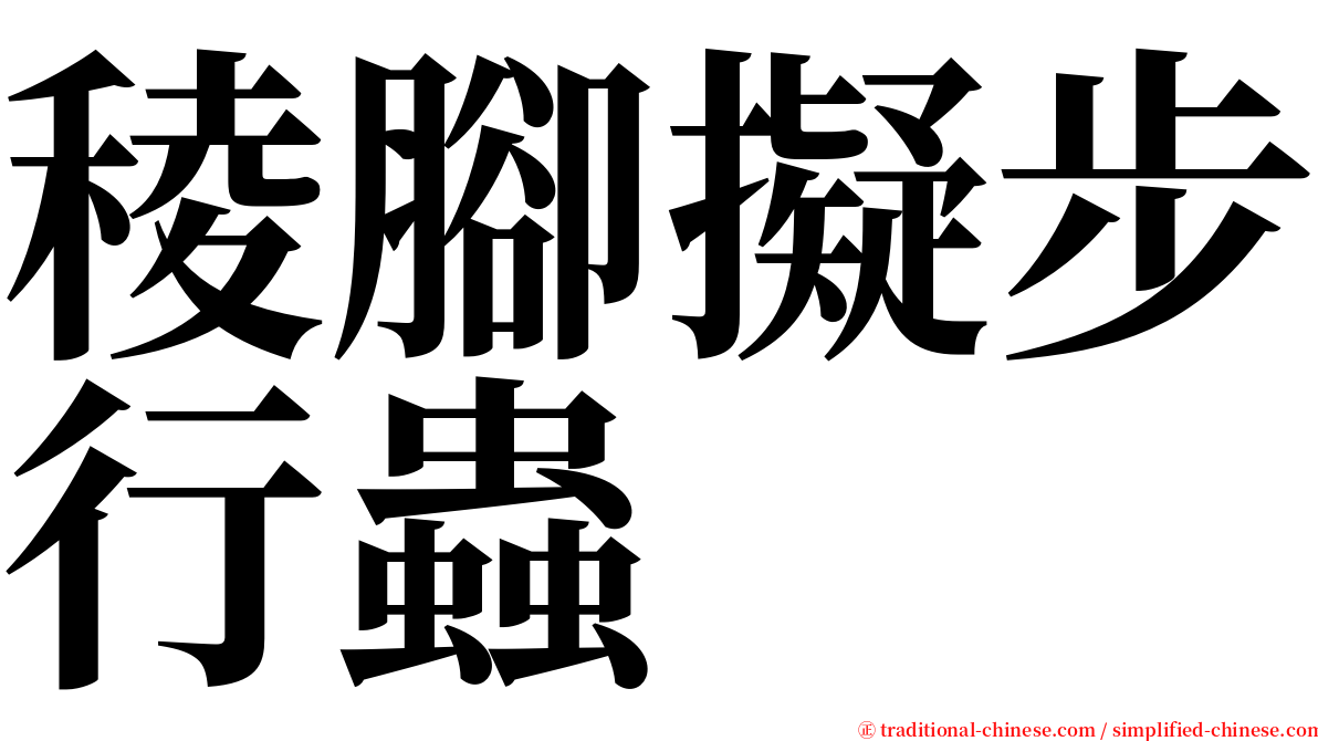 稜腳擬步行蟲 serif font