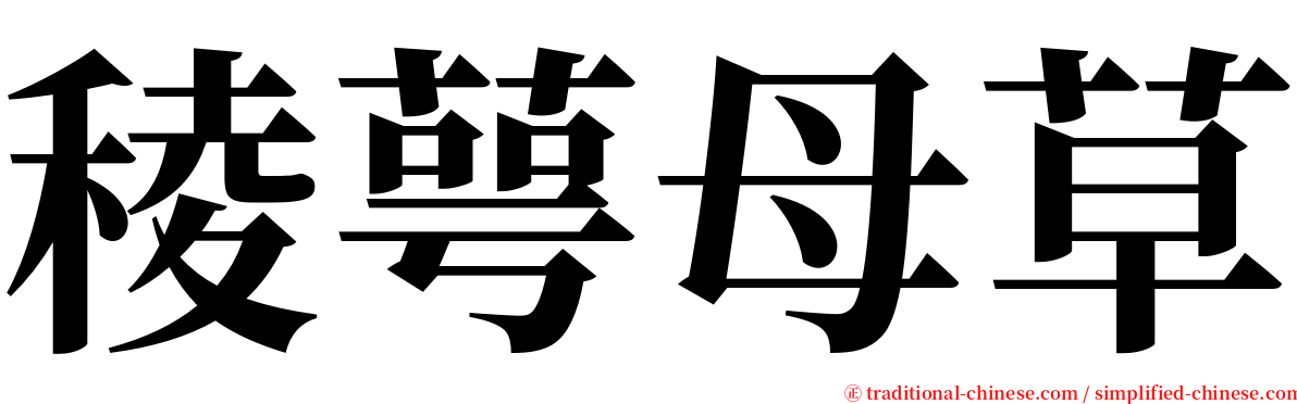 稜萼母草 serif font