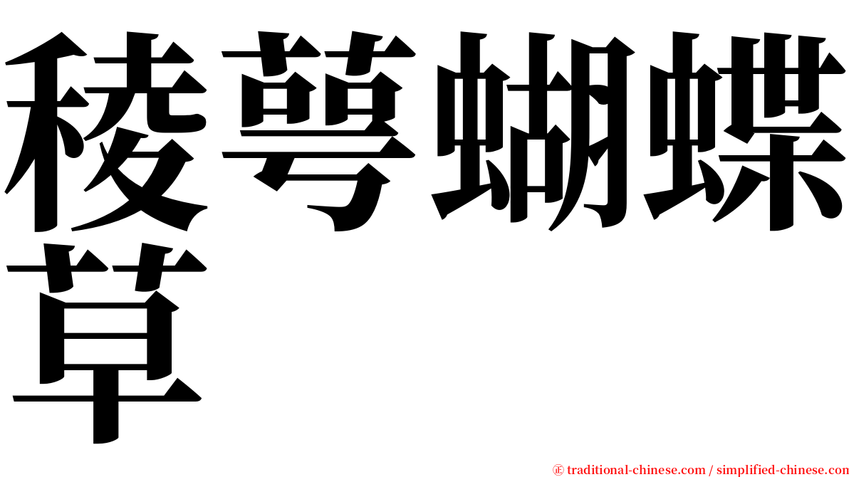 稜萼蝴蝶草 serif font