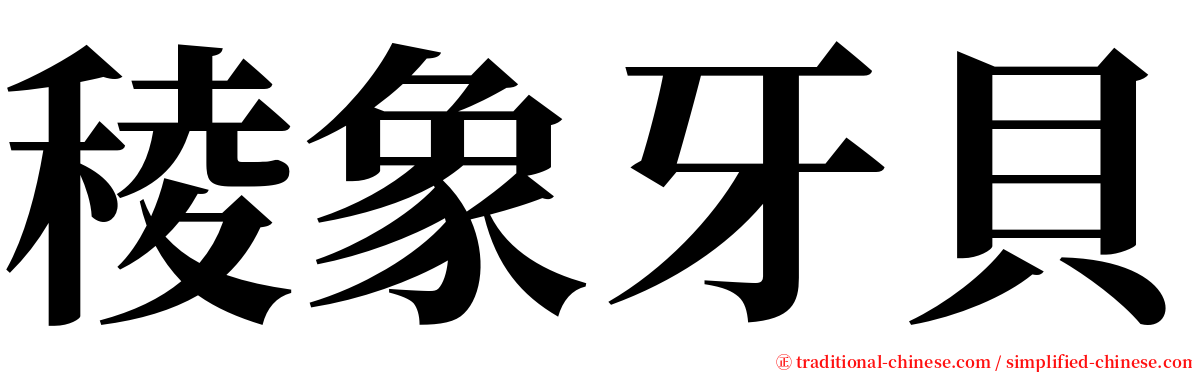 稜象牙貝 serif font