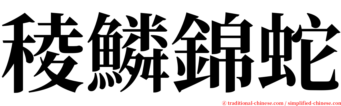 稜鱗錦蛇 serif font