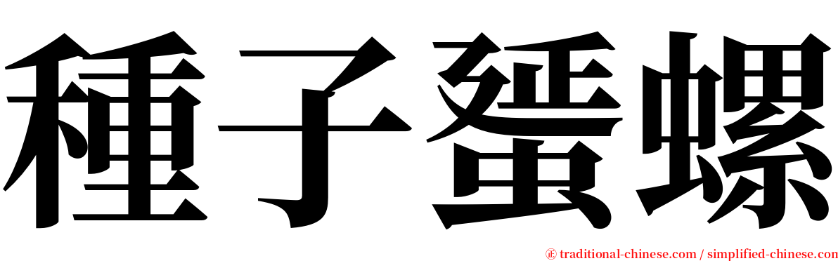 種子蜑螺 serif font