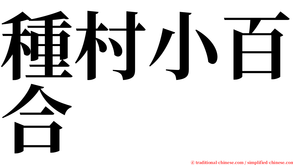 種村小百合 serif font