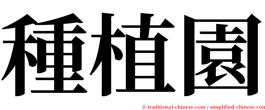 種植園 serif font