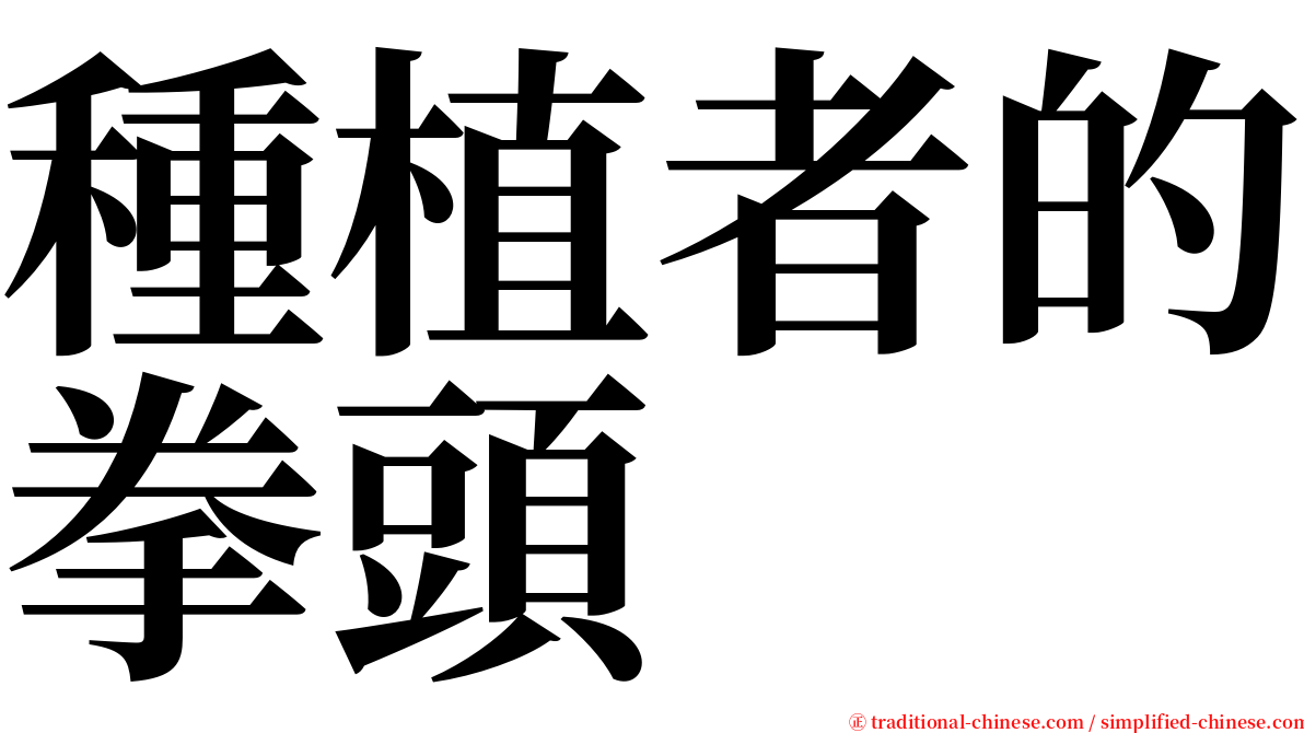 種植者的拳頭 serif font