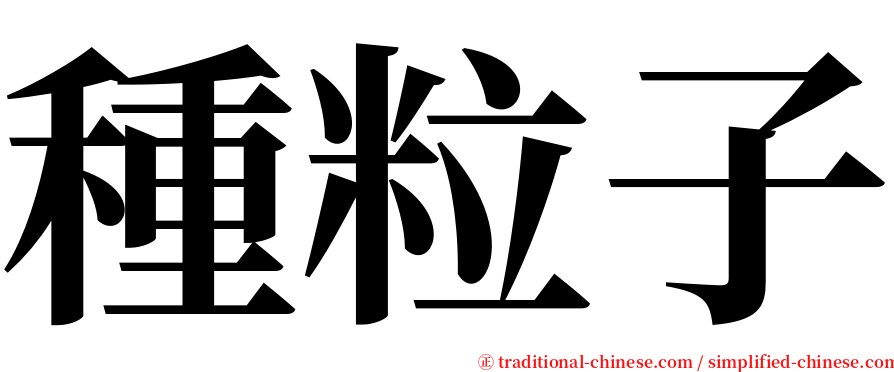 種粒子 serif font