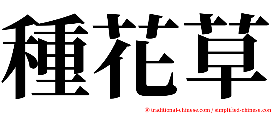 種花草 serif font